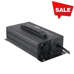 CS Golf Cart Charger 36V25A - no outlet connector